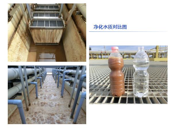 凈水水質(zhì)對比圖