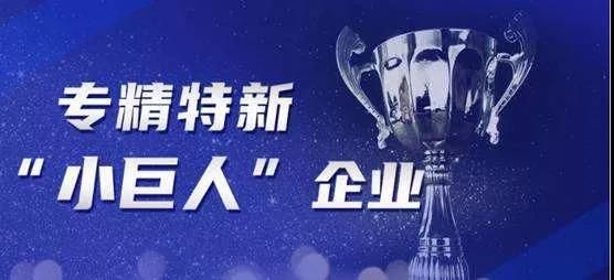 2021年度省專(zhuān)精特新小巨人企業(yè)