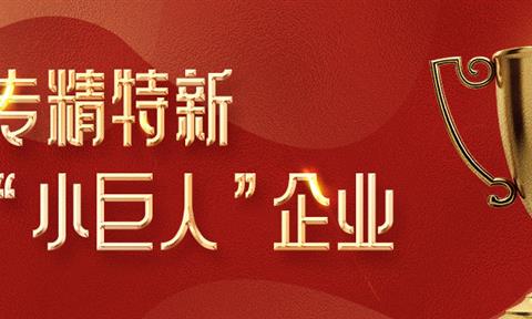 喜報！蘇州立升榮獲2021年度江蘇省專(zhuān)精特新小巨人企業(yè)認證