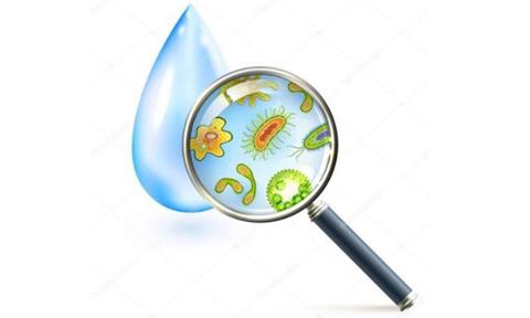 隔離病毒別忘了飲水防護，居家抗疫飲水指南收藏！